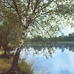Etang